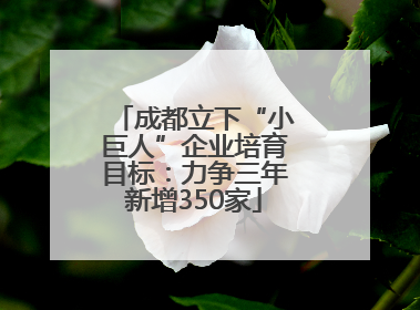 成都立下“小巨人”企业培育目标：力争三年新增350家