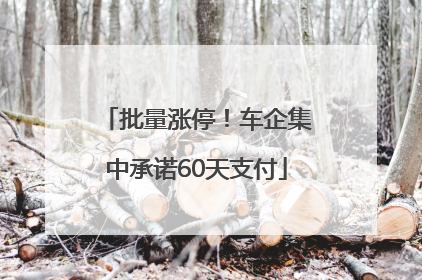批量涨停！车企集中承诺60天支付