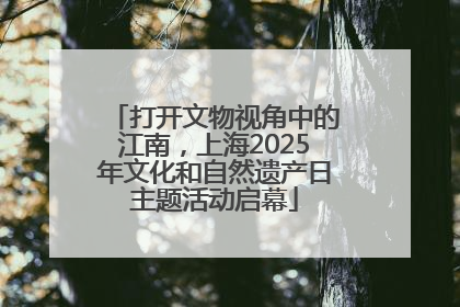 打开文物视角中的江南，上海2025年文化和自然遗产日主题活动启幕