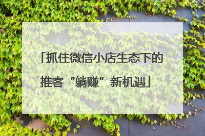 抓住微信小店生态下的推客“躺赚”新机遇