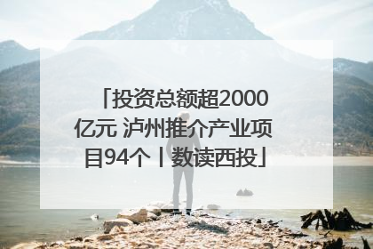 投资总额超2000亿元 泸州推介产业项目94个丨数读西投