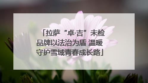 拉萨“卓·吉”未检品牌以法治为盾 温暖守护雪域青春成长路