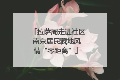 拉萨周走进社区 南京居民藏地风情“零距离”