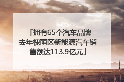拥有65个汽车品牌 去年槐荫区新能源汽车销售额达113.9亿元
