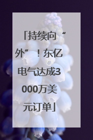 持续向“外”！东亿电气达成3000万美元订单