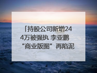 持股公司新增244万被强执 李亚鹏“商业版图”再陷泥潭？｜科技观察
