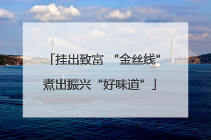 挂出致富 “金丝线” 煮出振兴“好味道”