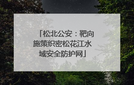 松北公安：靶向施策织密松花江水域安全防护网