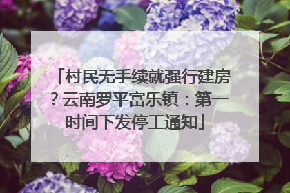 村民无手续就强行建房？云南罗平富乐镇：第一时间下发停工通知