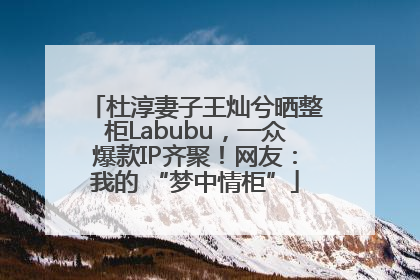 杜淳妻子王灿兮晒整柜Labubu，一众爆款IP齐聚！网友：我的 “梦中情柜”