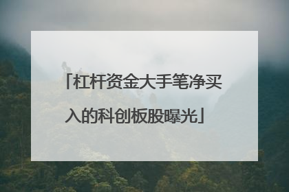 杠杆资金大手笔净买入的科创板股曝光