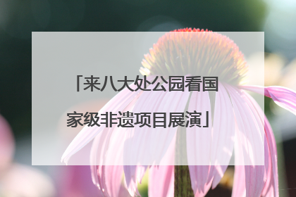 来八大处公园看国家级非遗项目展演