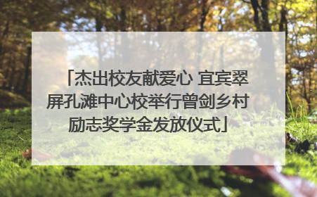 杰出校友献爱心 宜宾翠屏孔滩中心校举行曾剑乡村励志奖学金发放仪式