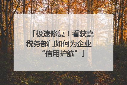 极速修复！看获嘉税务部门如何为企业“信用护航”