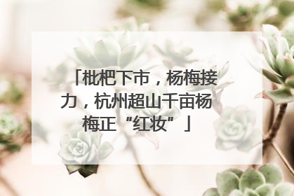 枇杷下市，杨梅接力，杭州超山千亩杨梅正“红妆”