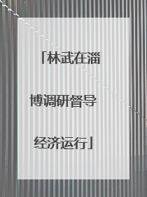 林武在淄博调研督导经济运行