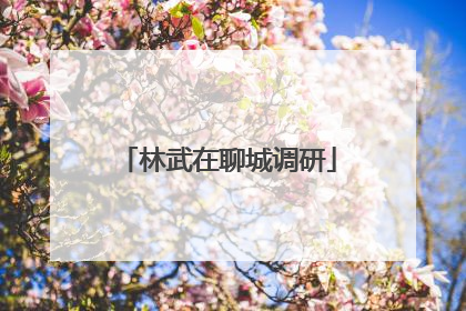 林武在聊城调研