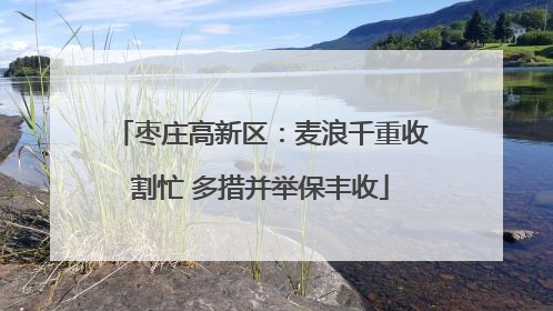 枣庄高新区：麦浪千重收割忙 多措并举保丰收
