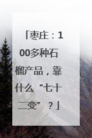 枣庄：100多种石榴产品，靠什么“七十二变”？