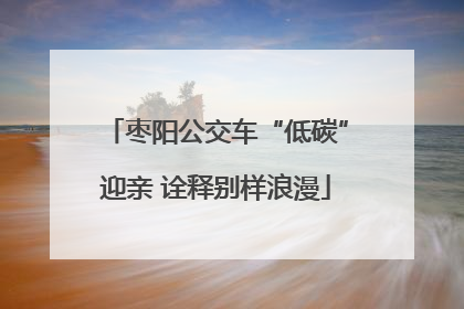 枣阳公交车“低碳”迎亲 诠释别样浪漫