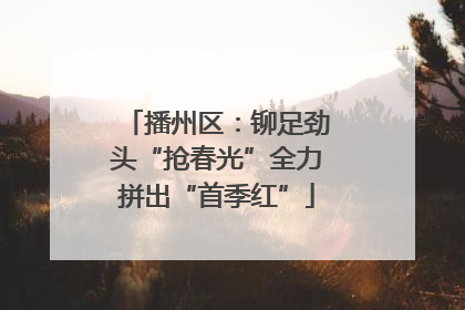 播州区：铆足劲头“抢春光”全力拼出“首季红”