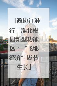 政协江淮行｜淮北段园新型功能区：“飞地经济”拔节生长