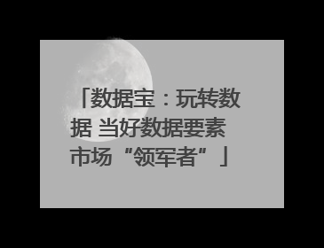 数据宝：玩转数据 当好数据要素市场“领军者”