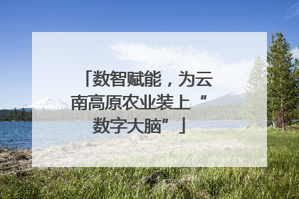 数智赋能，为云南高原农业装上“数字大脑”
