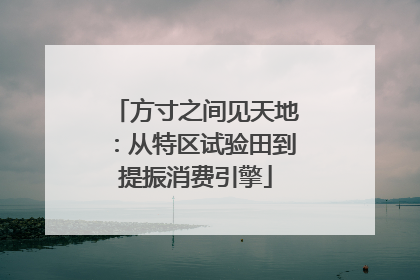 方寸之间见天地：从特区试验田到提振消费引擎