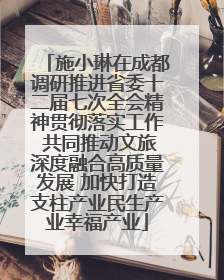 施小琳在成都调研推进省委十二届七次全会精神贯彻落实工作 共同推动文旅深度融合高质量发展 加快打造支柱产业民生产业幸福产业