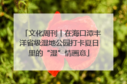 文化周刊丨在海口潭丰洋省级湿地公园打卡夏日里的“湿”情画意