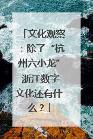 文化观察：除了“杭州六小龙” 浙江数字文化还有什么？