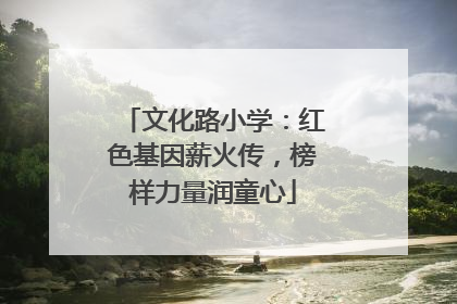 文化路小学：红色基因薪火传，榜样力量润童心