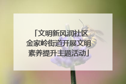 文明新风润社区 金家岭街道开展文明素养提升主题活动