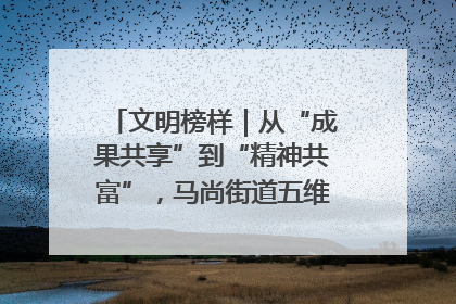 文明榜样｜从“成果共享”到“精神共富”，马尚街道五维聚力育文明