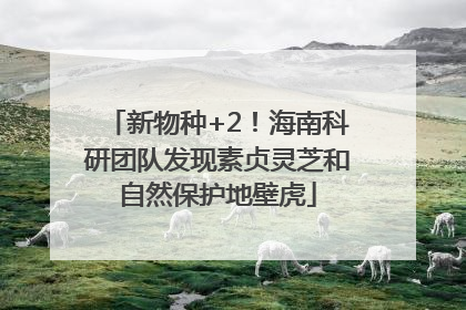 新物种+2！海南科研团队发现素贞灵芝和自然保护地壁虎