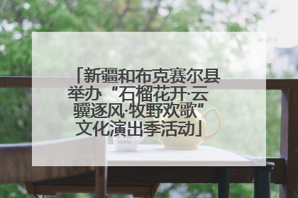 新疆和布克赛尔县举办“石榴花开·云骥逐风·牧野欢歌”文化演出季活动