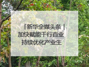 新华全媒头条｜加快赋能千行百业 持续优化产业生态——浙江推动人工智能健康有序发展观察