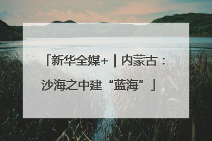 新华全媒+｜内蒙古：沙海之中建“蓝海”