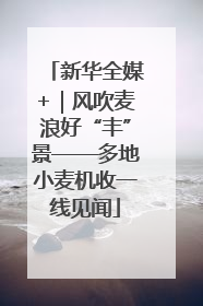 新华全媒+｜风吹麦浪好“丰”景——多地小麦机收一线见闻