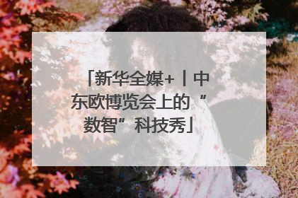 新华全媒+丨中东欧博览会上的“数智”科技秀