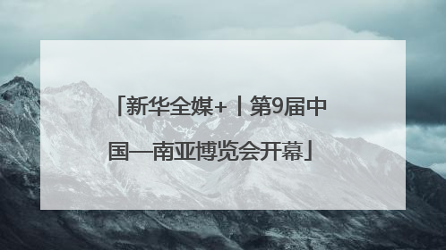 新华全媒+丨第9届中国—南亚博览会开幕