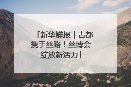 新华鲜报｜古都携手丝路！丝博会绽放新活力
