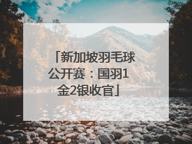 新加坡羽毛球公开赛：国羽1金2银收官