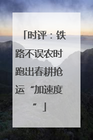 时评：铁路不误农时跑出春耕抢运“加速度”