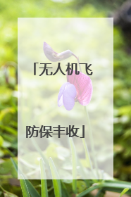 无人机飞防保丰收