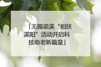 无锡梁溪“相扶溪阳”活动开启科技助老新篇章