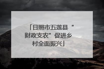 日照市五莲县“财政支农”促进乡村全面振兴