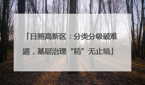 日照高新区：分类分级破难题，基层治理“精”无止境
