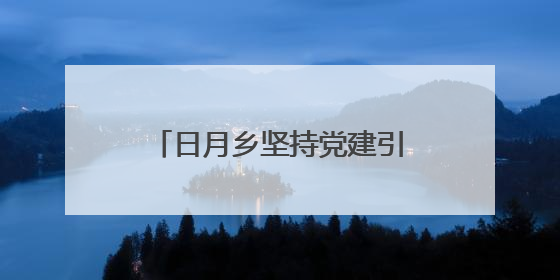 日月乡坚持党建引领推动基层治理